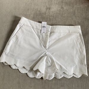 Loft riviera shorts scalloped trim